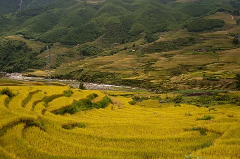 Những thửa ruộng bậc thang ở Sa Pa